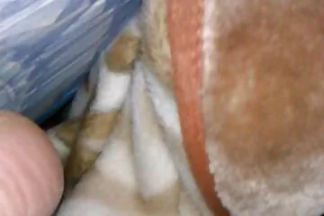 A vörös hajúaknak nincs lelkük, de mindig a szenvedély hatalmas biztosítéka. beleélvez a punciba