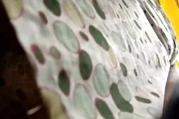 Az első házi sexvideok alkalom mindig ijesztő.