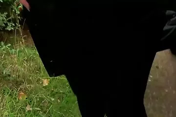 Nézd amatör pornó és élvezd.